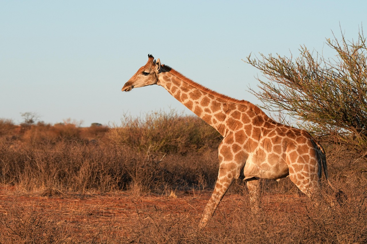 Serengeti National Park