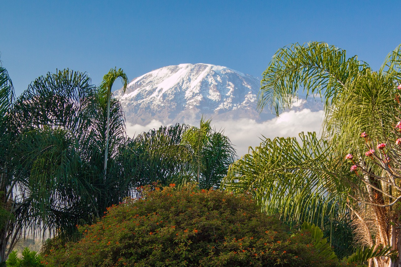 5 Days Tanzania Safari