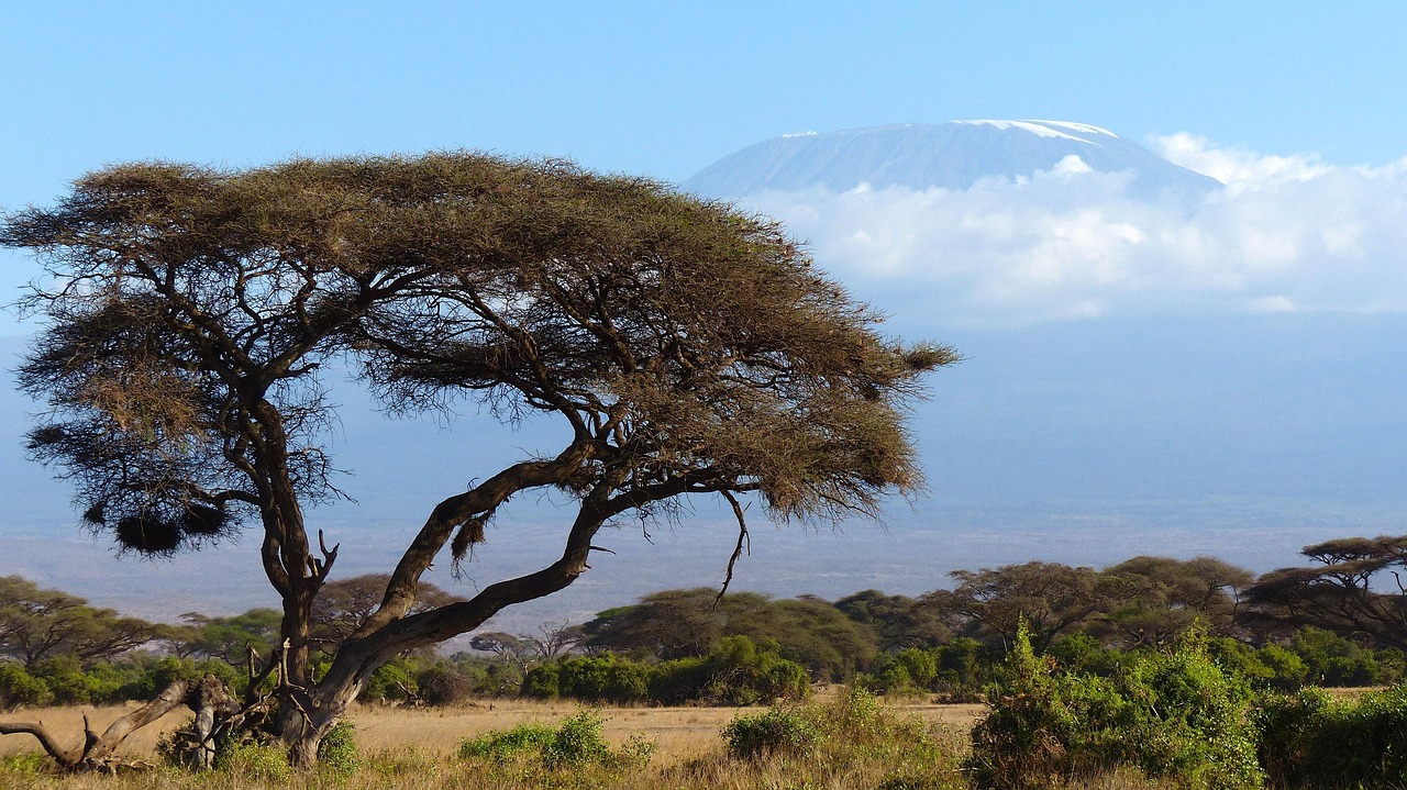 Mount Kilimanjaro